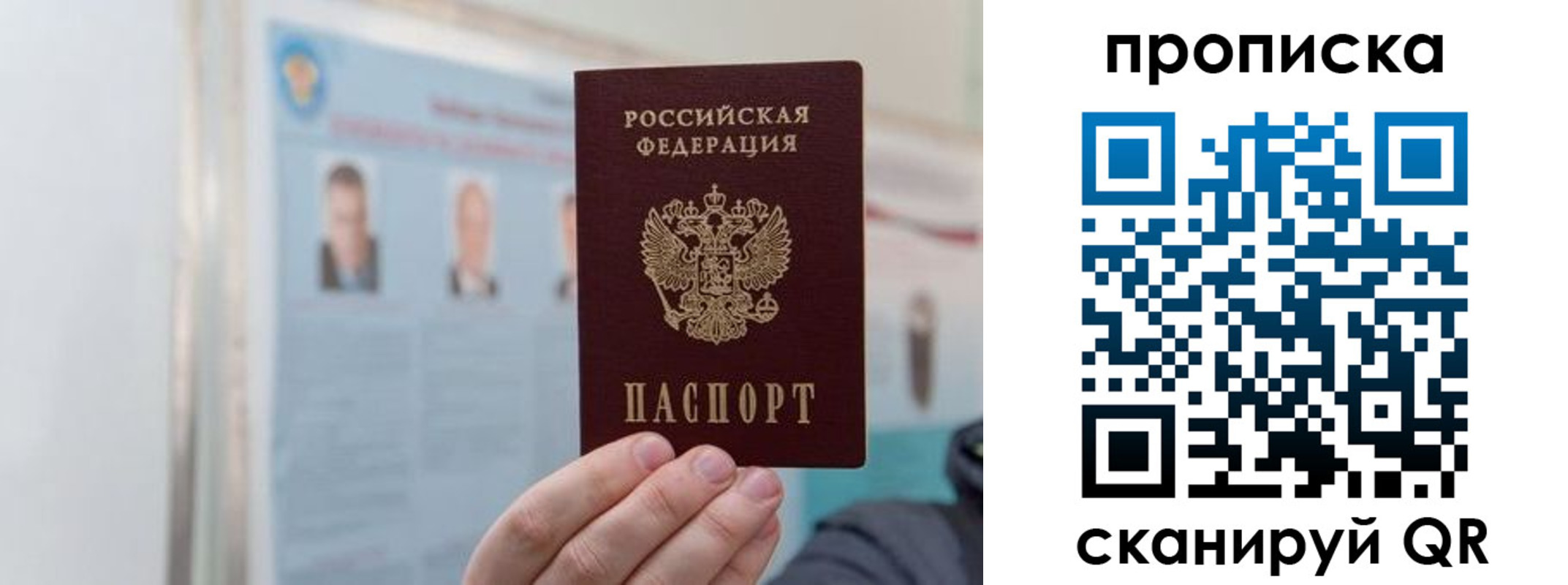 прописка 2025 в Камышине