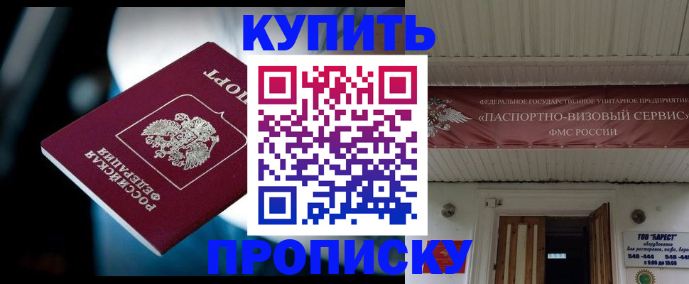 прописка 2025 в Камышине